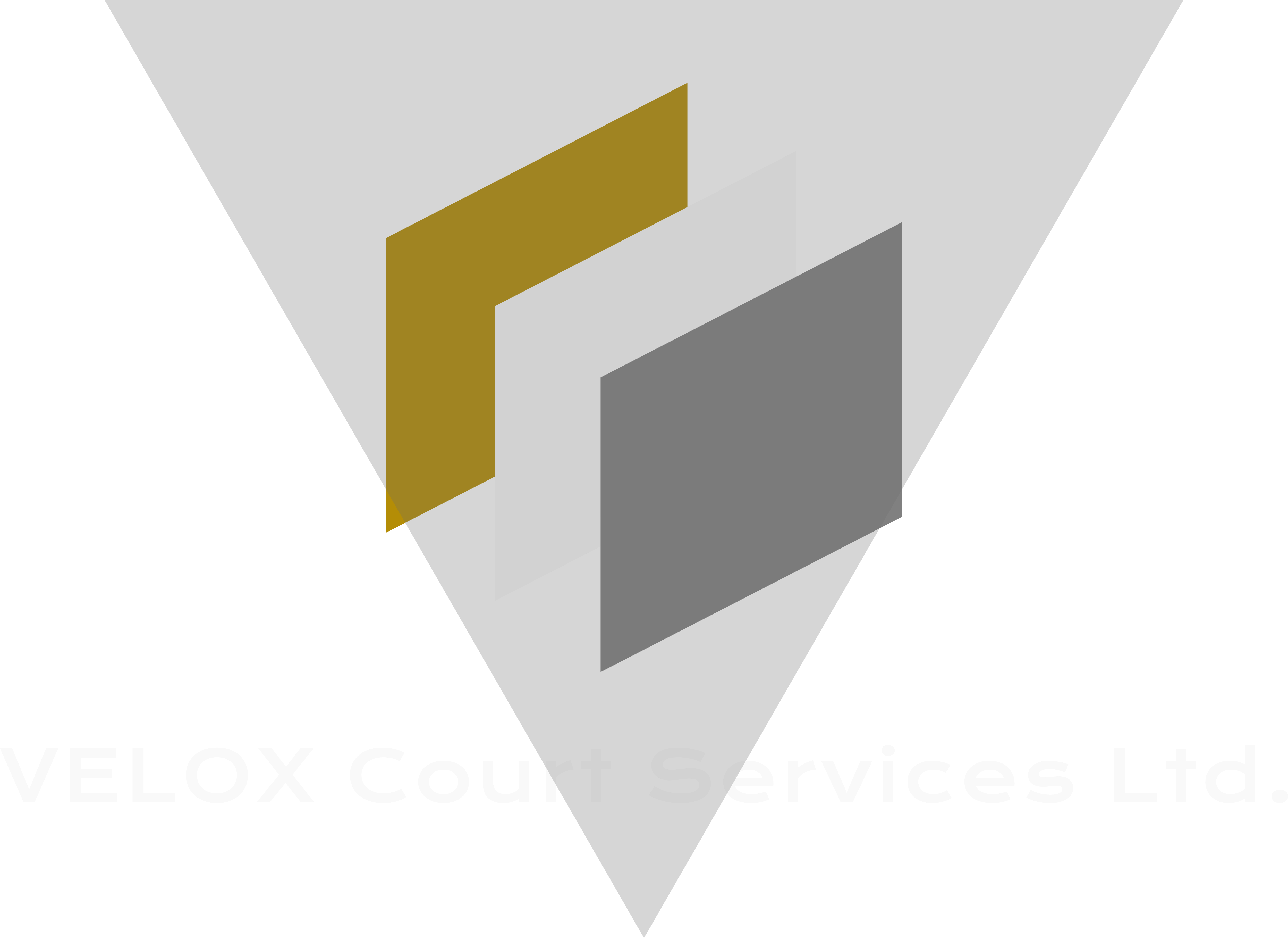 VELOX Court Services Logo